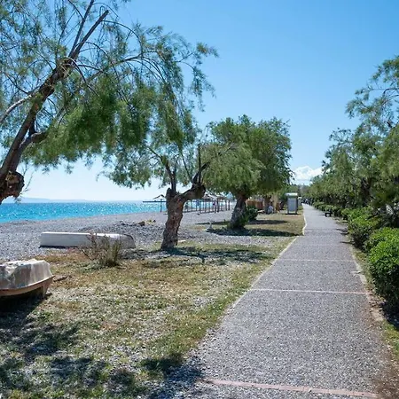 μεζονέτα στο κύμα *