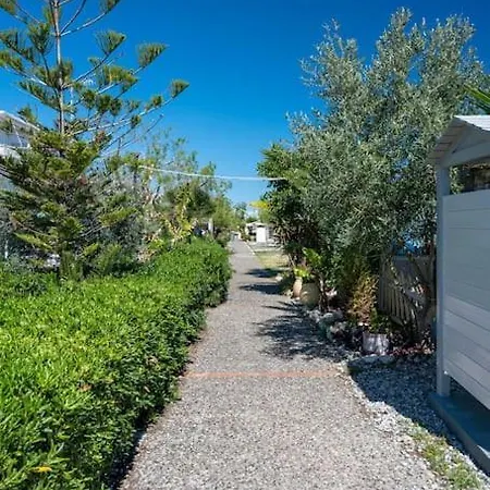 μεζονέτα στο κύμα *