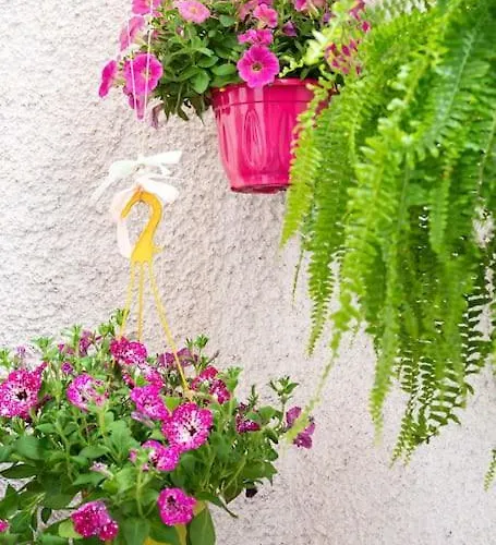 μεζονέτα στο κύμα * Kiáton