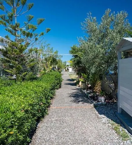 μεζονέτα στο κύμα *